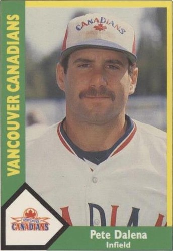 1990 CMC AAA/ProCards A & AA - Pete Dalena #641