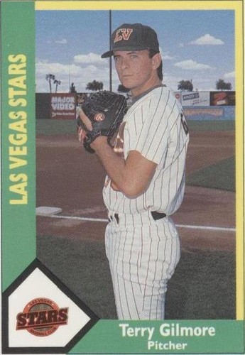 1990 CMC AAA/ProCards A & AA - Terry Gilmore #506