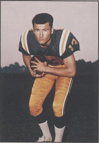 1981 TCMA Greats Don Maynard #49