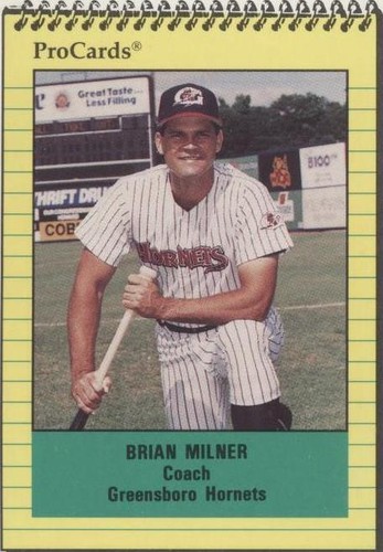 1991 ProCards Minor League - Brian Milner #3076