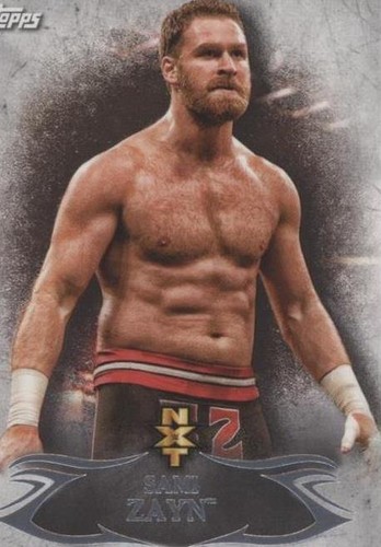 2015 Topps WWE Undisputed - Sami Zayn #NXT 4