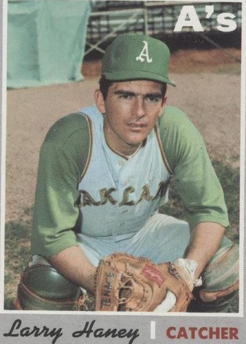 1970 Topps - Larry Haney #648