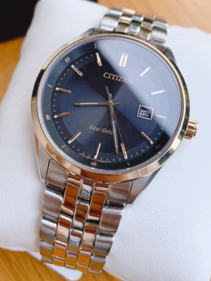 Eco-Drive, Sapphire Crystal, Date, Stainless Two Tone Band by Citizen –  Carter's Jewel Chest