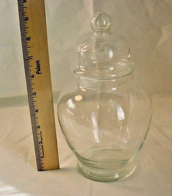 Large Clear Glass Apothecary Jar 9 inch Terrarium Miniature Garden Scene