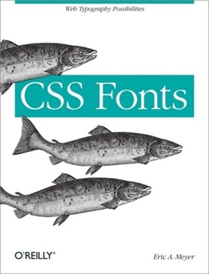 CSS Fonts: Web Typography Possibilities (Paperback or Softback)