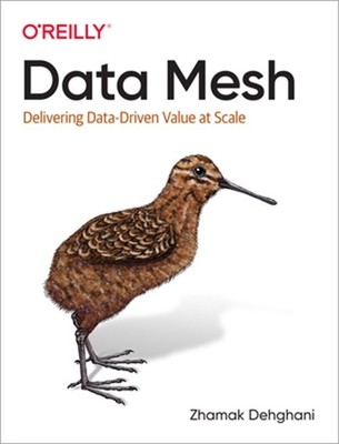 Data Mesh: Delivering Data-Driven Value at Scale (Paperback or Softback)