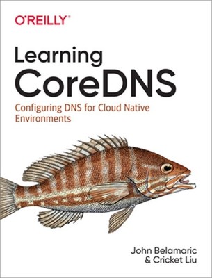 Learning Coredns: Configuring DNS for Cloud Native Environments (Paperback or So