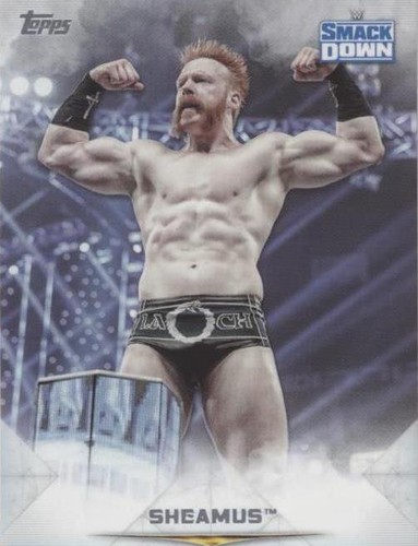 2020 Topps WWE Undisputed - Sheamus #48