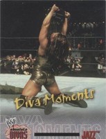 2002 Fleer WWE Absolute Divas - Jazz #66