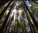 recreationaladventures 的用户个人档案