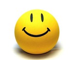 verisign2011