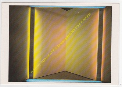 CP Tableau Dan Flavin A Donna