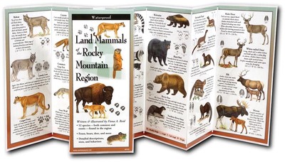 Earth Sky+Water Animals: A Comprehensive Guide to Mammals of the Rockies by