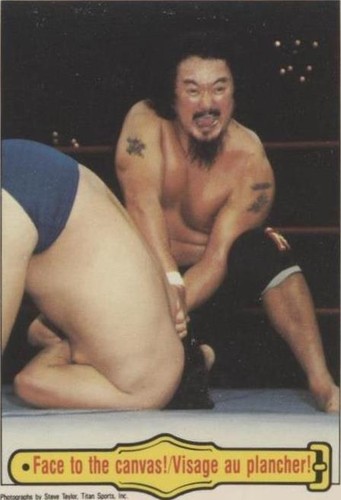 1985 O-Pee-Chee WWF - Mr. Fuji #43