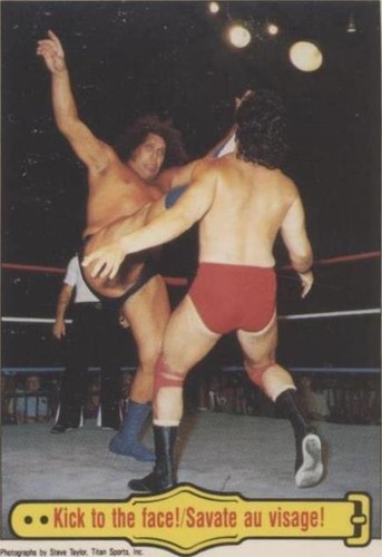 1985 O-Pee-Chee WWF - Andre the Giant #45