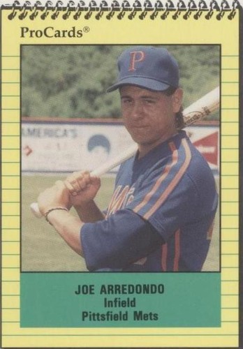 1991 ProCards Minor League - Joe Arredondo #3427