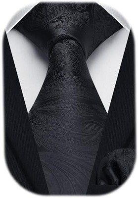 HISDERN Ties for Men Paisley Floral Tie Handkerchief Classic Woven Business Form
