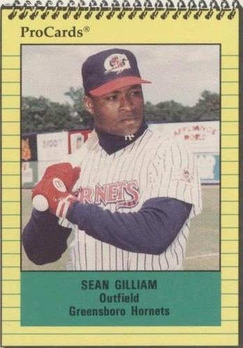 1991 ProCards Minor League - Sean Gilliam #3073
