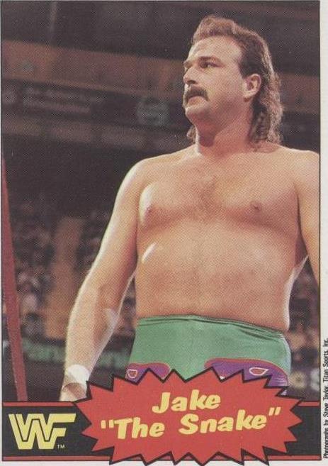 1985 O-Pee-Chee Pro Wrestling Stars - Jake "The Snake" Roberts #33