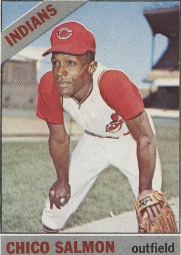 1966 Topps - Chico Salmon #594
