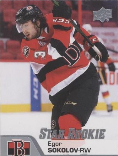 2020-21 Upper Deck AHL - Egor Sokolov #174