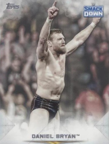 2020 Topps WWE Undisputed - Daniel Bryan #34
