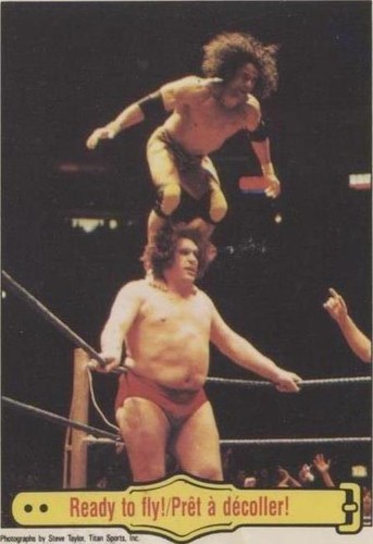 1985 O-Pee-Chee WWF - Andre the Giant Jimmy Snuka #53