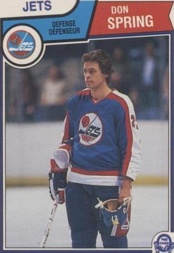 1983-84 O-Pee-Chee - Don Spring #392