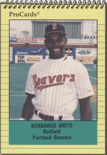 1991 ProCards Minor League - Bernardo Brito #1575