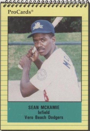 1991 ProCards Minor League - Sean Mckamie #783
