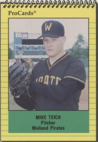 1991 ProCards Minor League - Michael Teich #3573