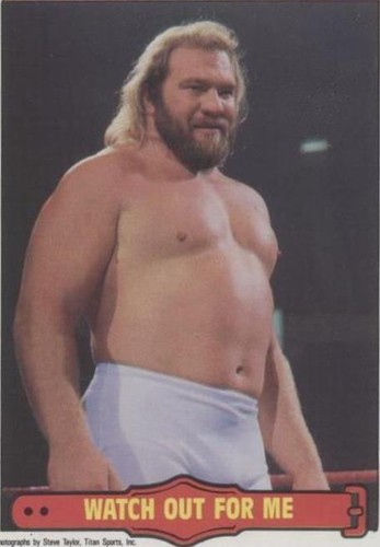 1985 O-Pee-Chee Pro Wrestling Stars - Big John Studd #28