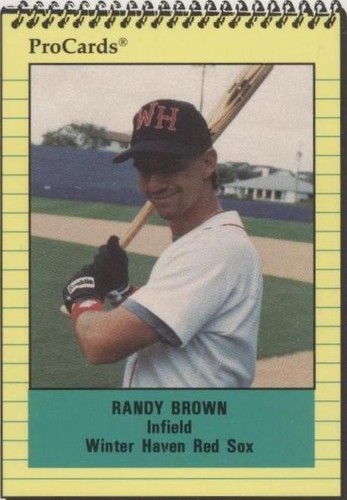 1991 ProCards Minor League - Randy Brown #495