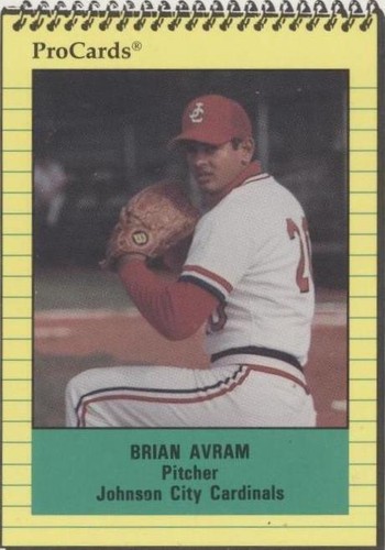 1991 ProCards Minor League - Brian Avram #3968