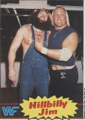 1985 Topps WWF Wrestling Trading Cards