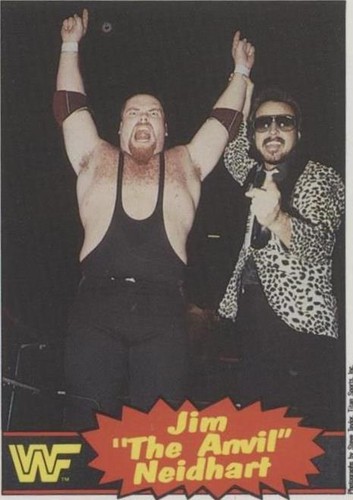 1985 O-Pee-Chee Pro Wrestling Stars - Jim Neidhart #4