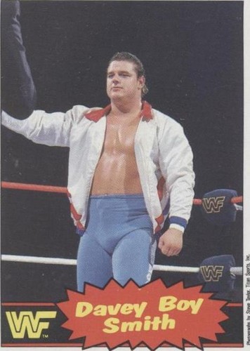 1985 O-Pee-Chee Pro Wrestling Stars - Davey Boy Smith #48
