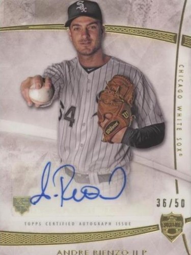 2014 Topps Supreme - Andre Rienzo #SA-AR