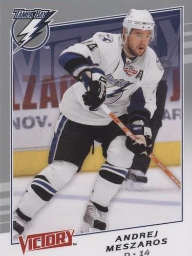 2008-09 Upper Deck Victory - Andrej Meszaros #293