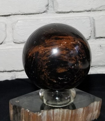Petrified Wood Sphere Ball 5.5