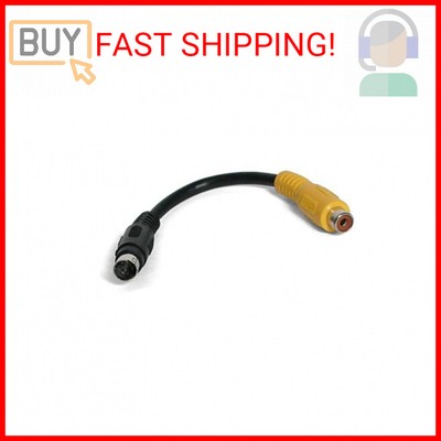 StarTech.com 6 in. S Video to Composite Video Adapter Cable - S-Video to Composi