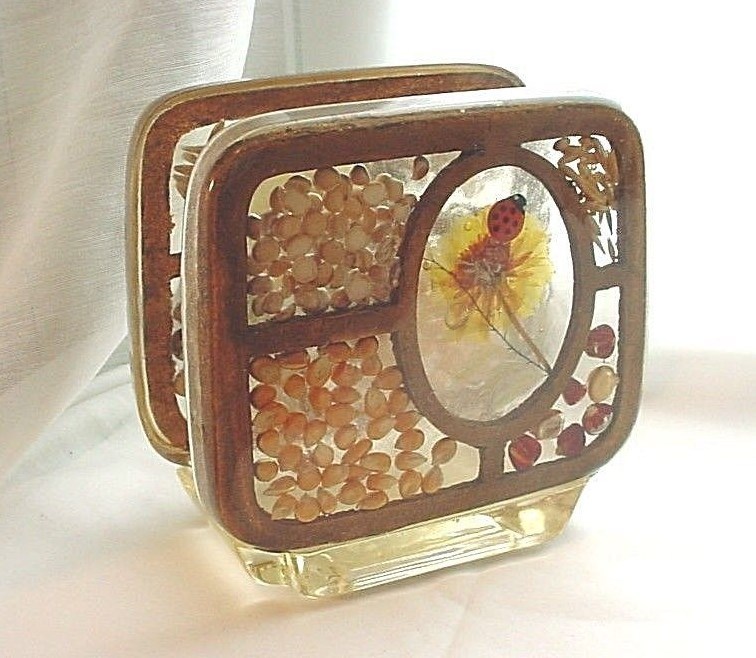 Vtg Lucite Napkin Holder 1970s with Grains and Ladybug 4 Inch