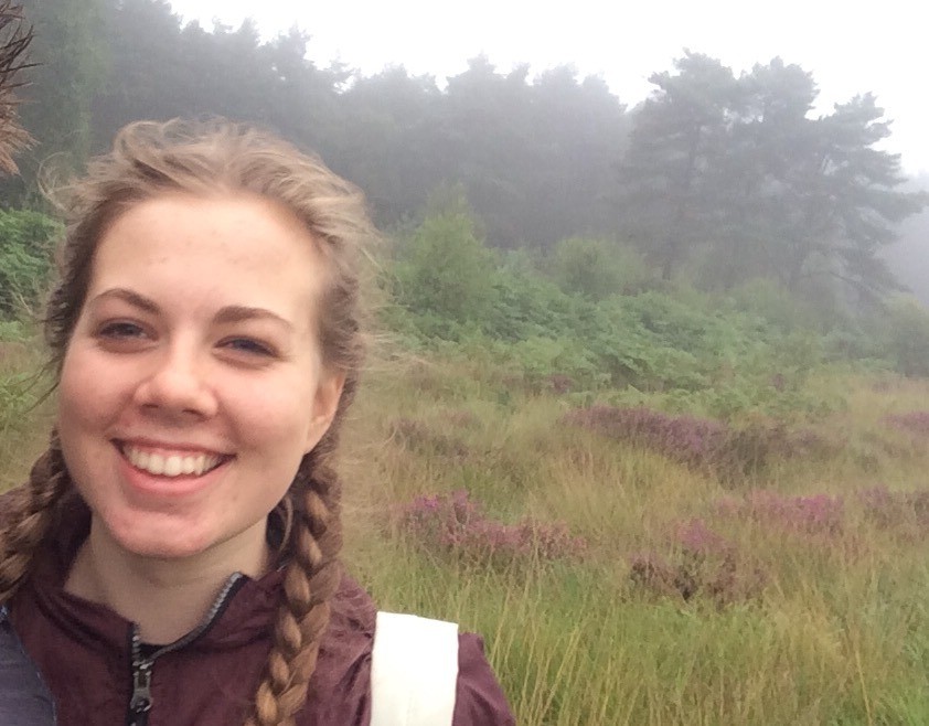 Dissertation tutor brighton 06 picture