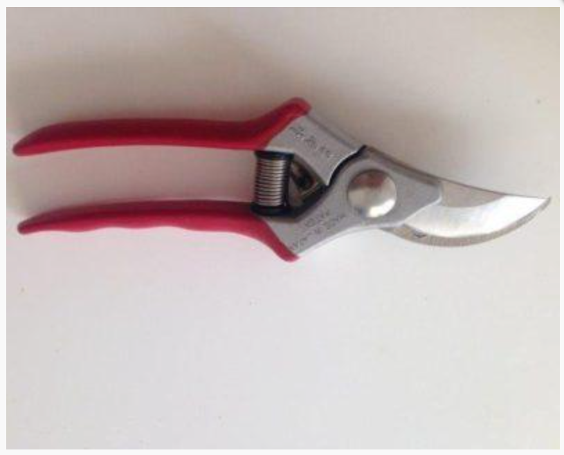 昌国　MASAKUNI 盆栽道具 Bonsai Tools MASAKUNI Bonsai Tool [ No.8210 ] Pruning Shears [200g/188mm] | eBay