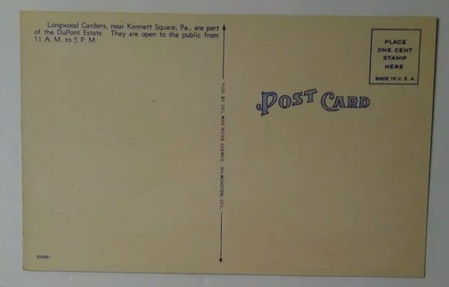 Vintage DELAWARE Postcard Fountains  Night Longwood Gardens Near Wilmington DE