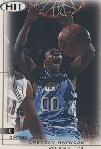 2001-02 SAGE Hit - Brendan Haywood #20