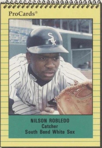 1991 ProCards Minor League - Nilson Robledo #2860
