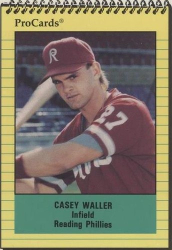 1991 ProCards Minor League - Casey Waller #1379