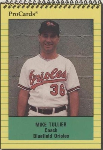1991 ProCards Minor League - Mike Tullier #4143