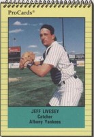 1991 ProCards Minor League - Jeff Livesey #1011